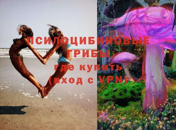 альфа пвп Нея