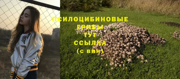 эйфоретик Нефтегорск