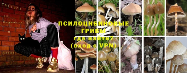 трава Нижневартовск