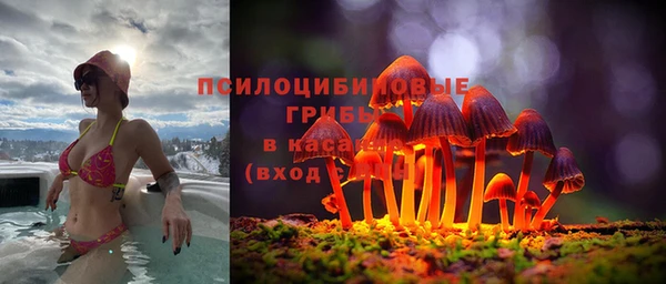 альфа пвп Нея