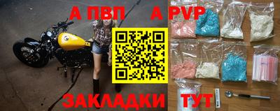 шишки Аргун
