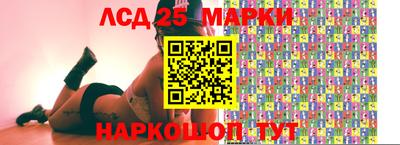 шишки Аргун