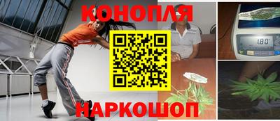 шишки Аргун