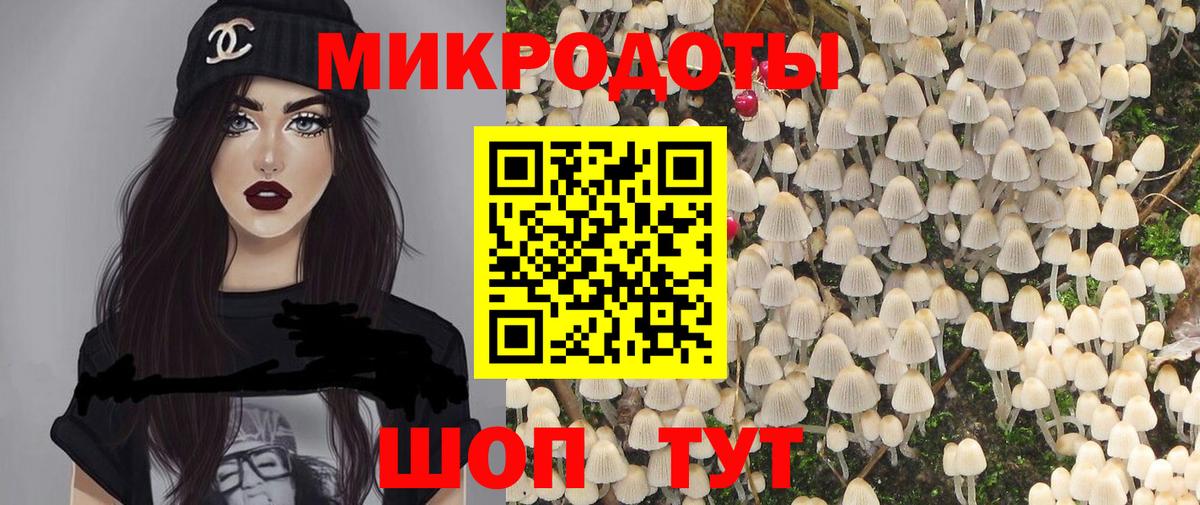 Галлюциногенные грибы Psilocybe  Вход с VPN  Белогорск 