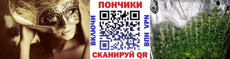 Каннабис индика Белогорск